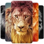 lion wallpapers hd android application logo